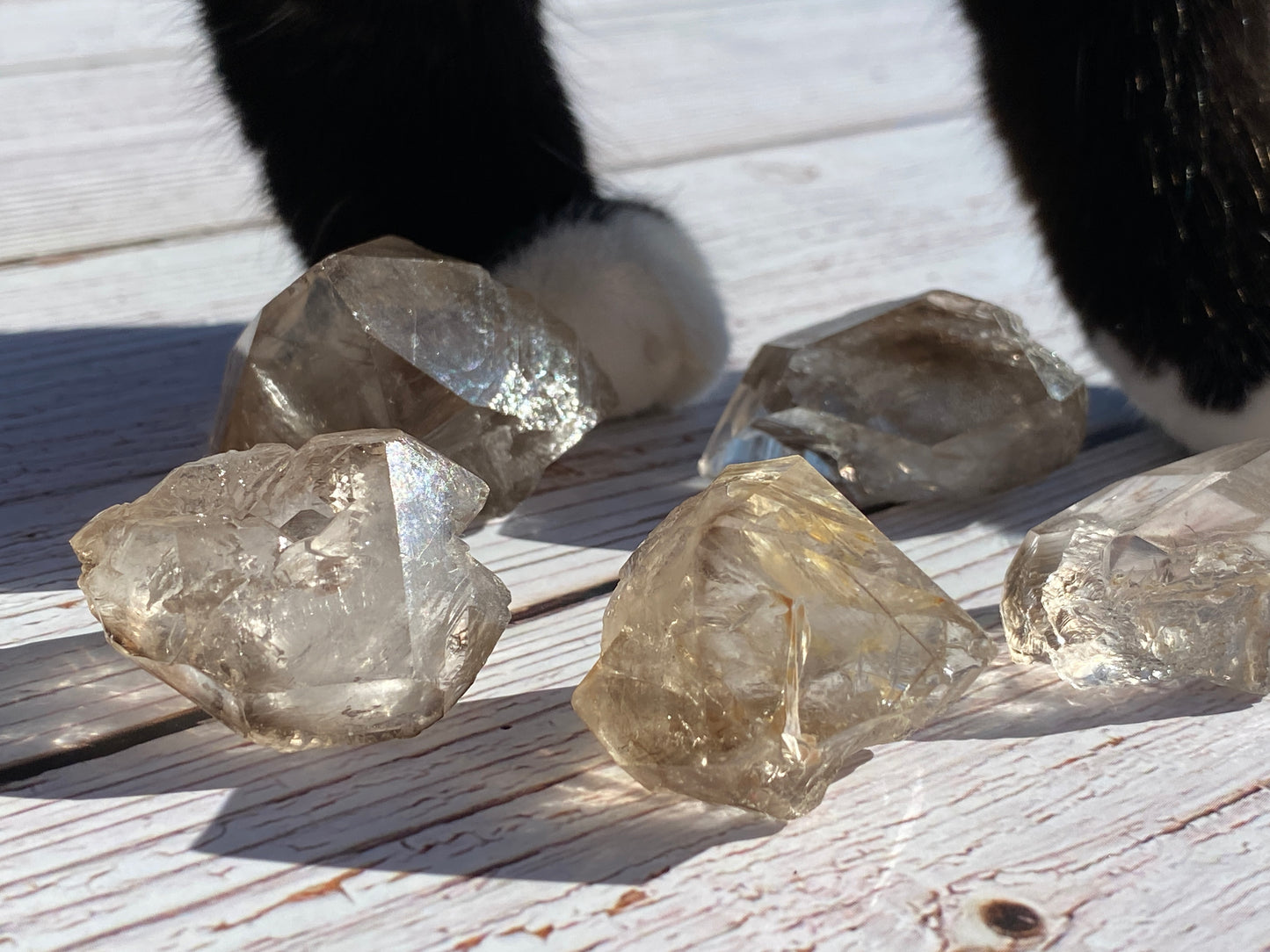 Smokey Elestial Quartz crystals