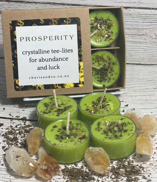 Prosperity tee-lite set