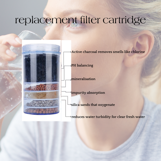 Water purifier cartridge replacement