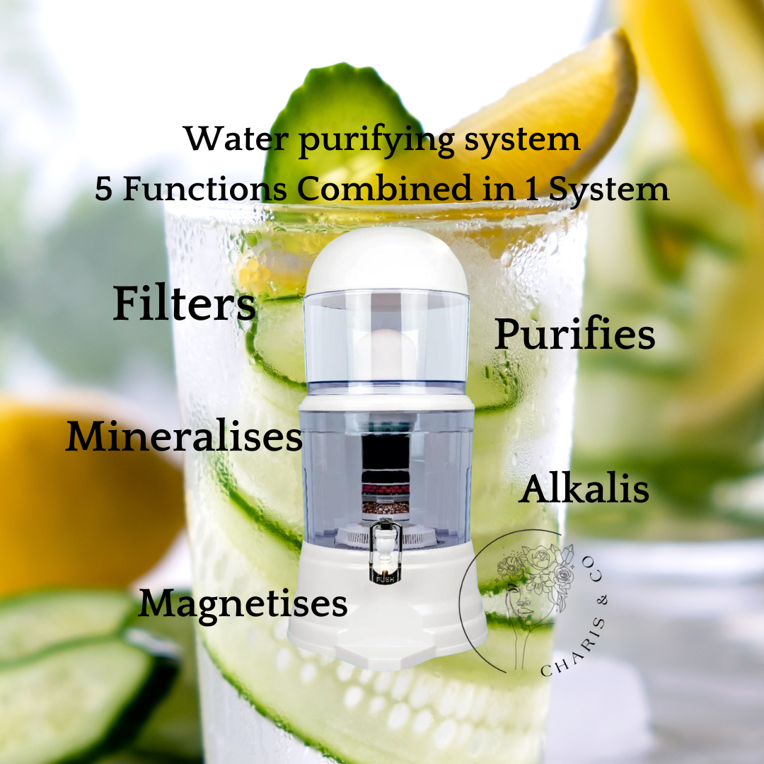 Water purifier system BPA free